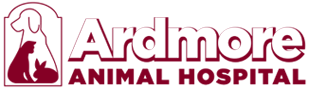 Ardmore Animal Hospital